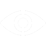 VISION ICON